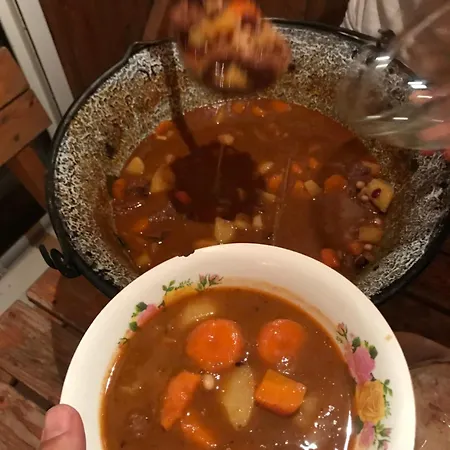 Bogracsos Apartmanhaz 巴拉顿菲赖德